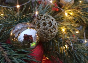 Жители Ульяновска рассказали о своих планах на новогоднюю ночь