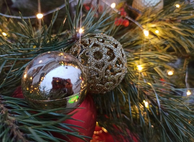 Жители Ульяновска рассказали о своих планах на новогоднюю ночь