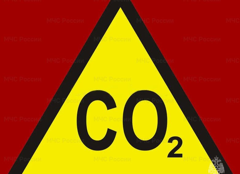 Несколько человек отравились угарным газом в Ульяновске