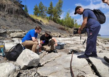 Новую экотропу с отпечатками лап динозавра откроют в ульяновском геопарке «Ундория»