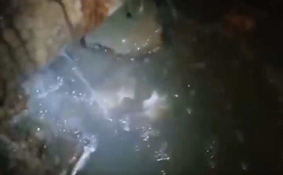 В Ишеевке воняло 10 лет, областной прокурор решил вопрос за два часа