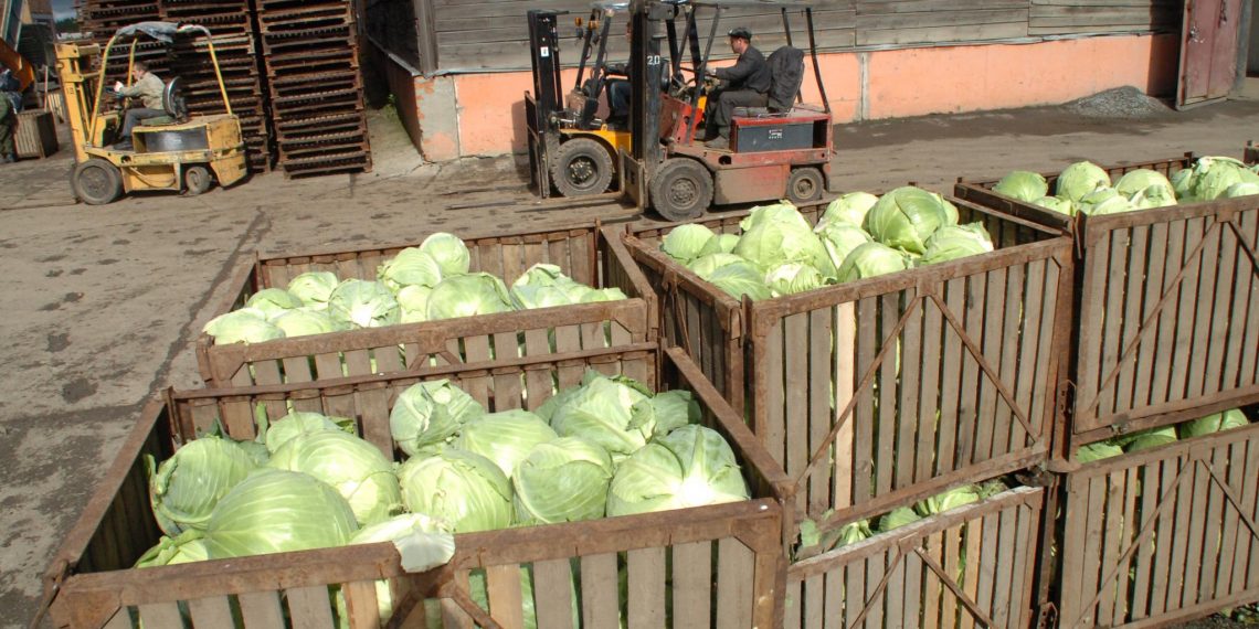 Ульяновский минсельхоз снова хвастается дешёвой едой, но это ненадолго