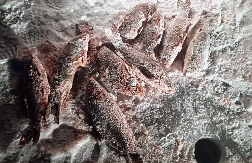 60-летний рыбак попался на браконьерстве в Мелекесском районе
