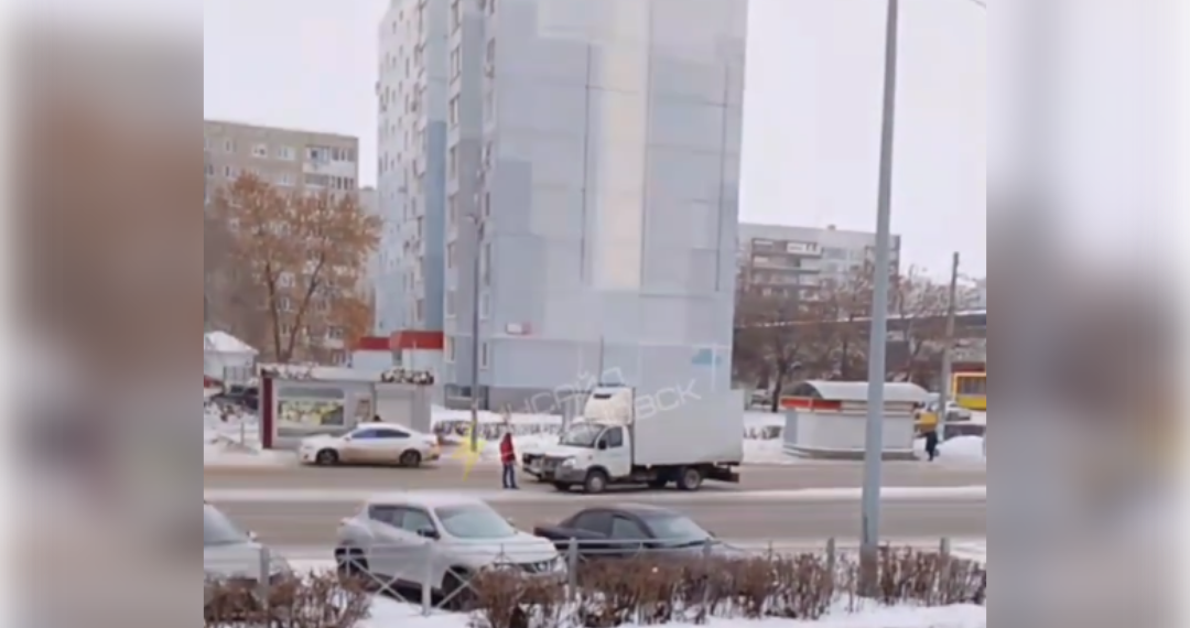 В Ульяновске собака бросилась под колёса автомобиля и спровоцировала ДТП