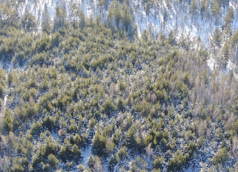 Дроны обнаружили нарушения на сельхоз землях в Ульяновской области