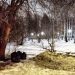 Мэр Болдакин бросил вызов мусорным кучам в Ульяновске