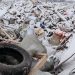 Свалка у Дачного: экологическая катастрофа под носом у власти
