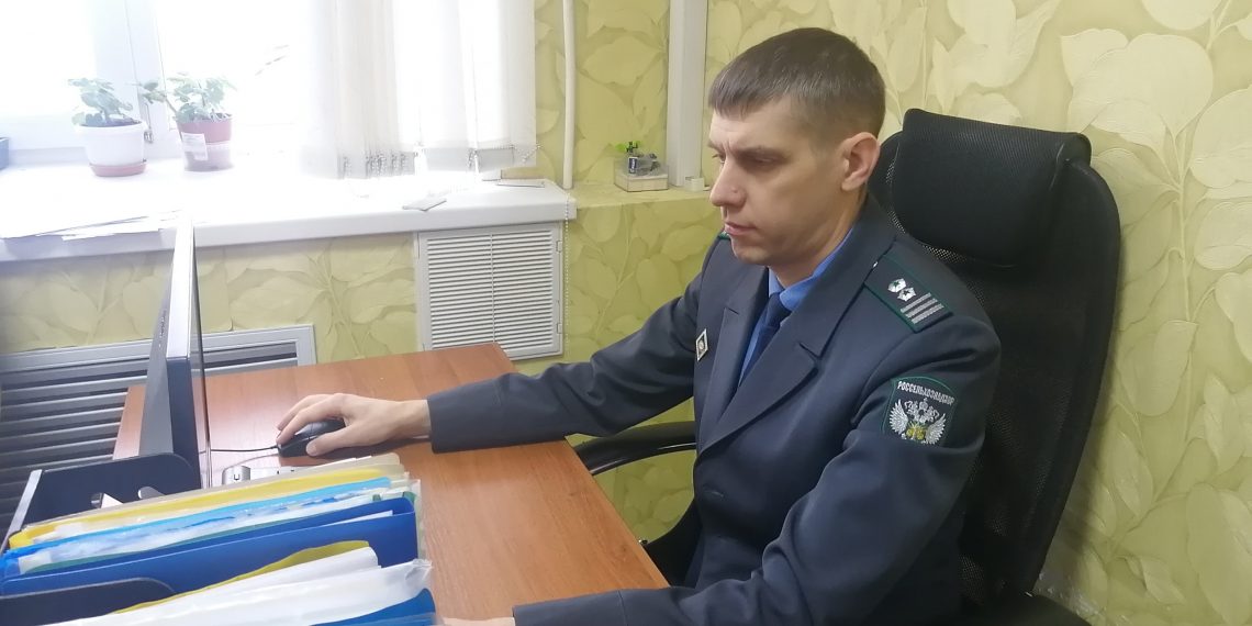 В январе в Ульяновской области обнаружили 15 500 тонн «неправильного» зерна