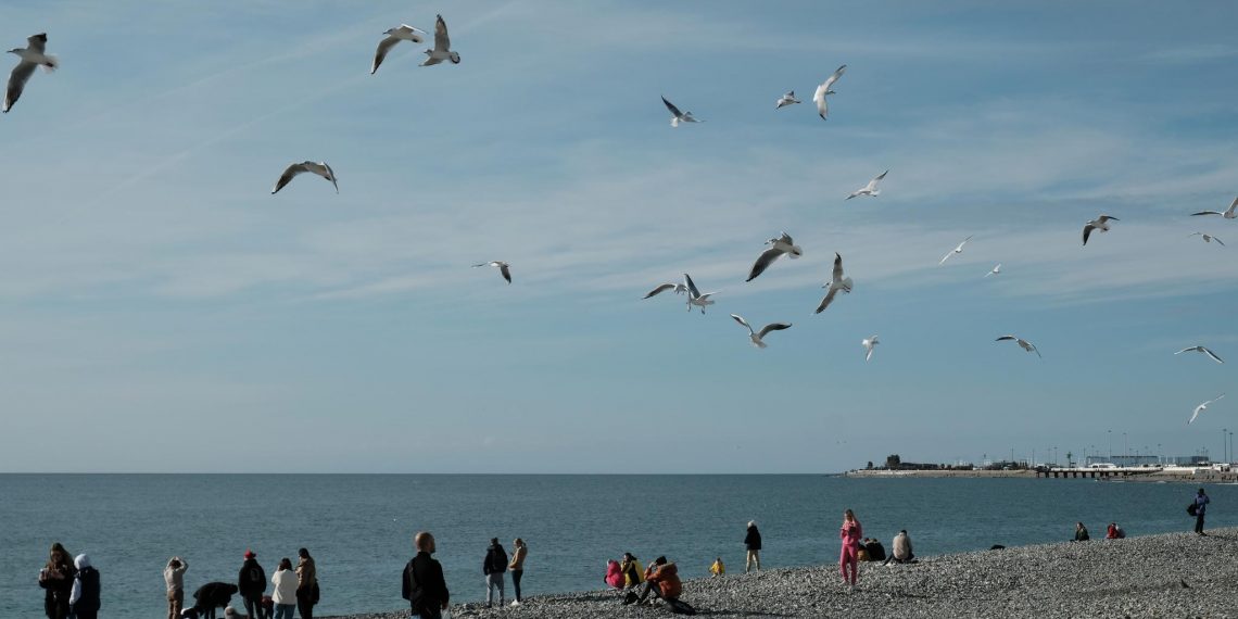 Экокатастрофа в Чёрном море заставила ульяновцев пересмотреть планы на отпуск