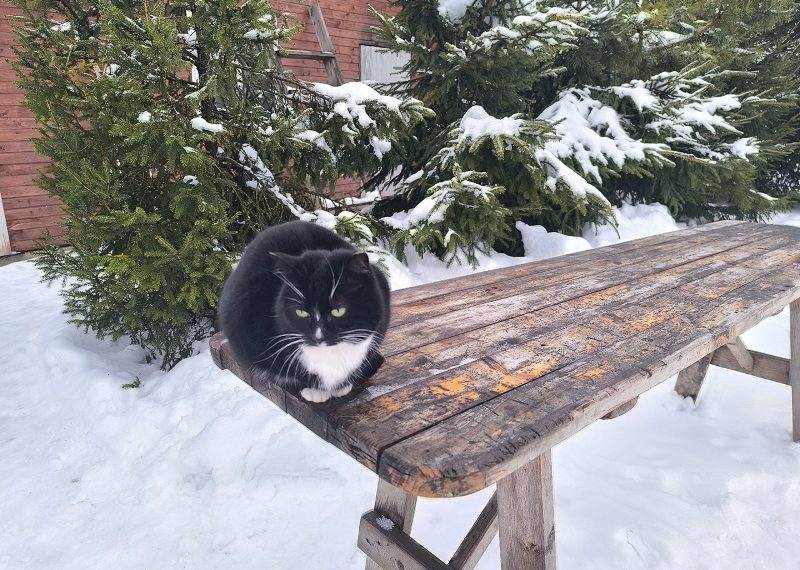 На этой неделе в Ульяновске ещё больше похолодает