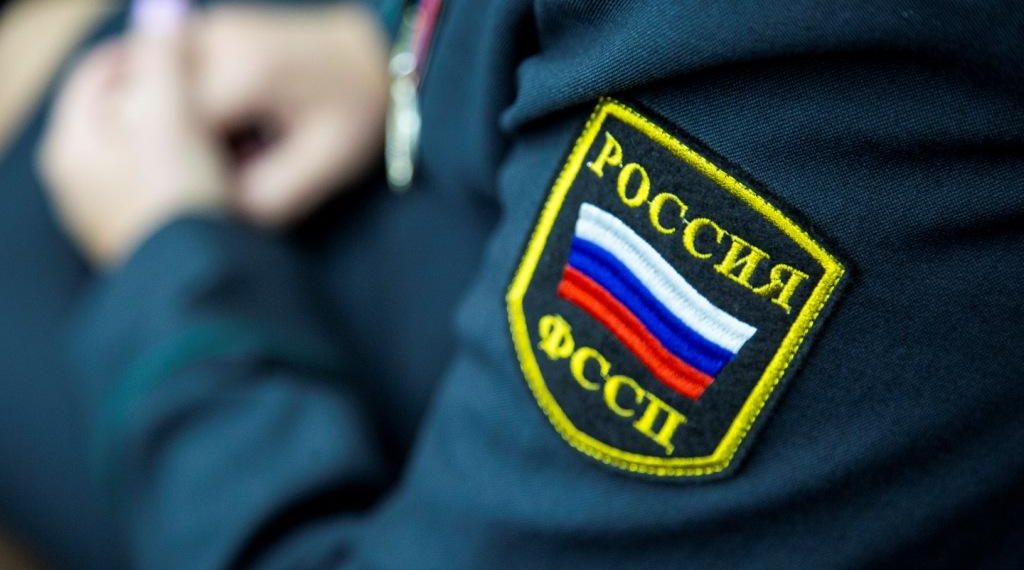 Ульяновские приставы разобрались с «чёрным лесорубом»