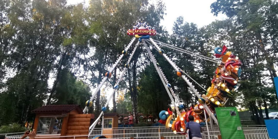 Дадашов пояснил встревоженным ульяновцам по вырубкам в парке «Молодёжный»