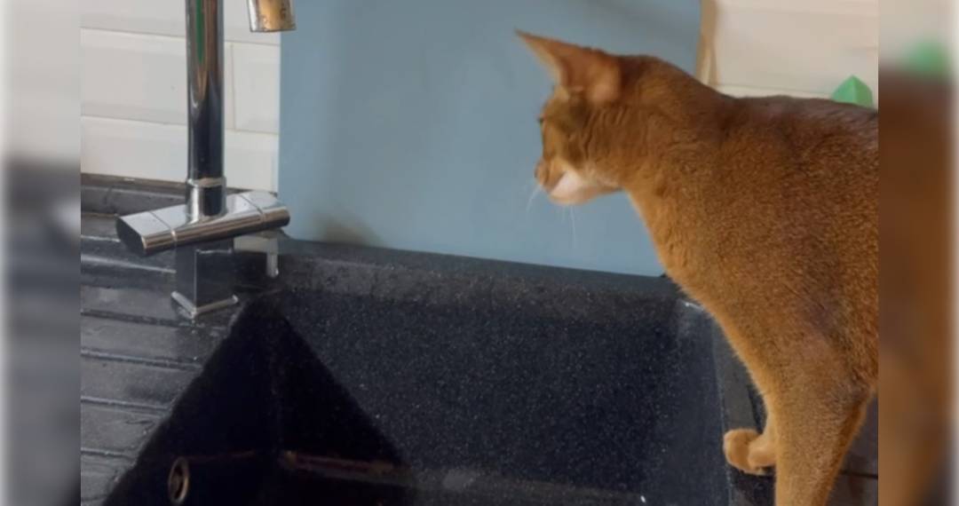 Часть Дальнего Засвияжья аварийно отключили от ХВС 3 февраля