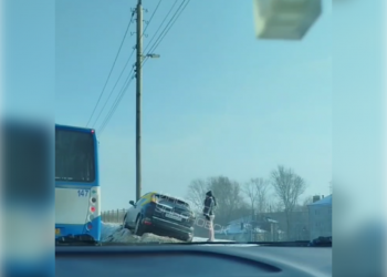 В Ульяновске девушка на «Форде» оседлала сугроб и «поцеловала» столб