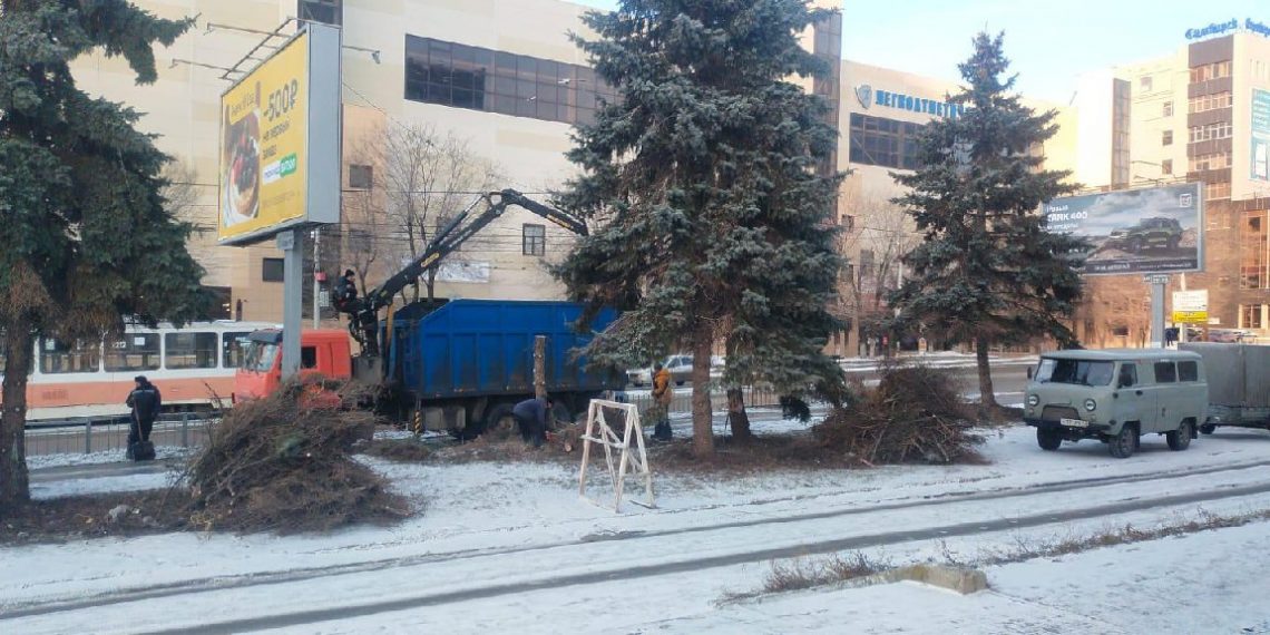 Весной на Железной Дивизии высадят новые голубые ели, сейчас пилят старые