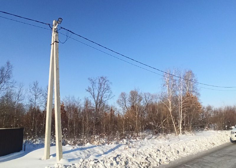 Семья из Ульяновской области осваивает «Дальневосточный гектар»