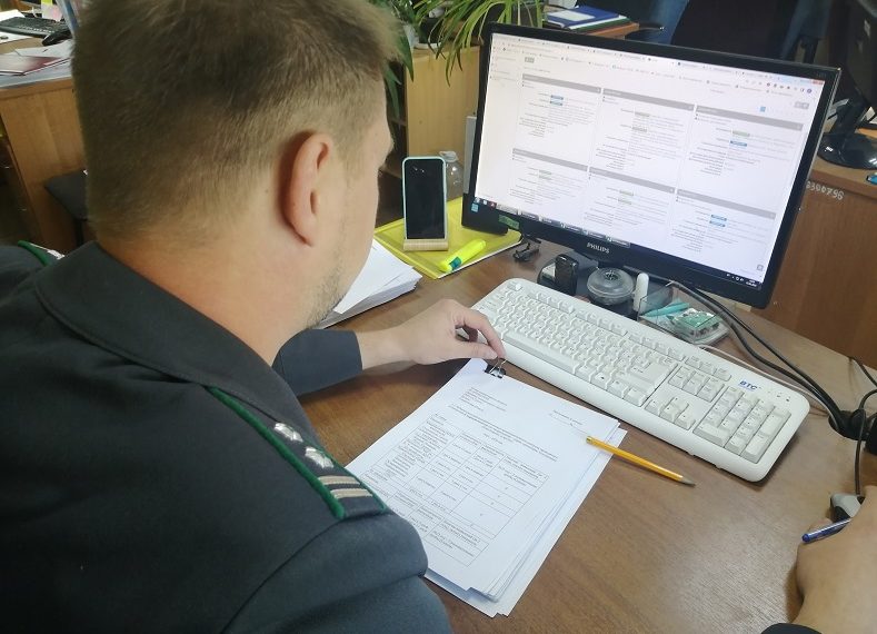 13 сайтов продавали ульяновцам запрещённые лекарства для животных