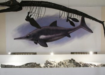 Ульяновский геопарк «Ундория» включили в федеральный проект