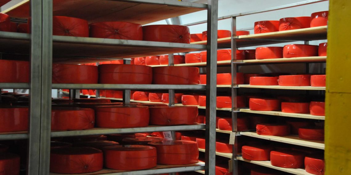 В Ульяновской области производили сыр с кишечной палочкой