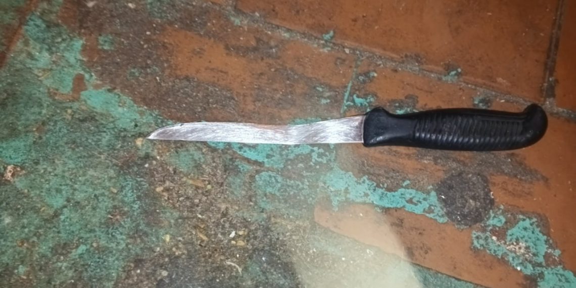 70-летний житель Димитровграда напал с ножом на соседа из-за грязного санузла