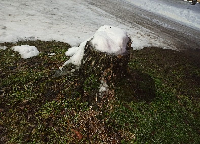 Ночь — зима, день — весна: погода на первые дни марта в Ульяновске