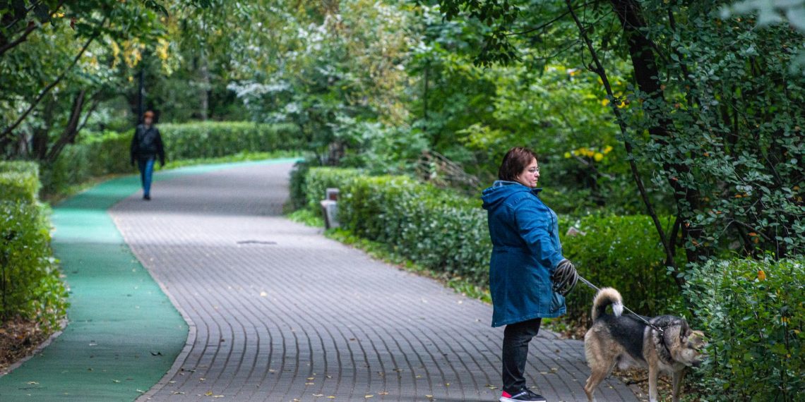 Ульяновск утыкали табличками для собачников