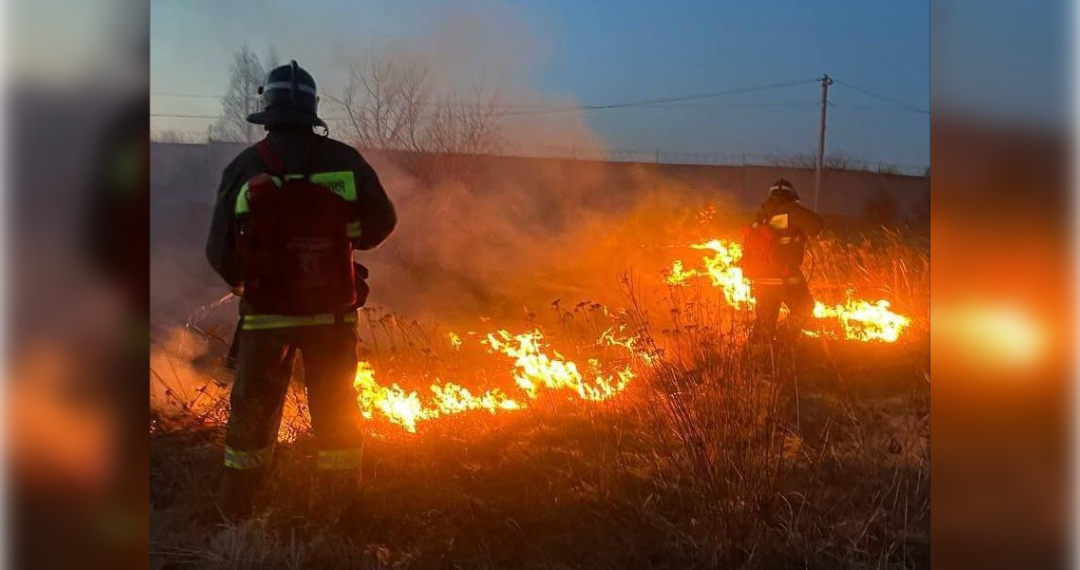 Ульяновские спасатели ликвидировали природный пожар в районе ТЭЦ