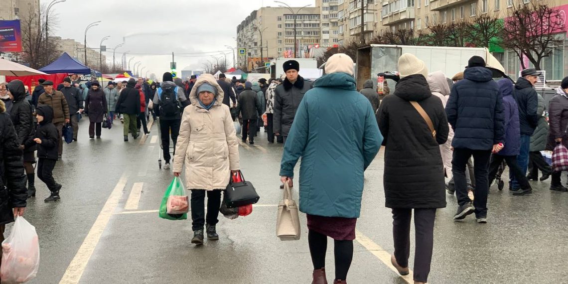 Ульяновцам запретили трогать шишки