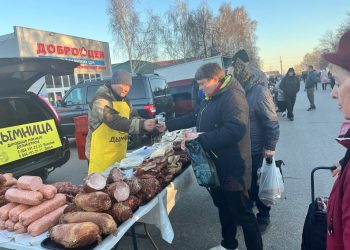 Две продовольственные ярмарки в Ульяновской области собрали 9 млн рублей