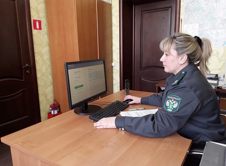 Россельхознадзор выявил 47 нарушений при ввозе продукции в Ульяновскую область