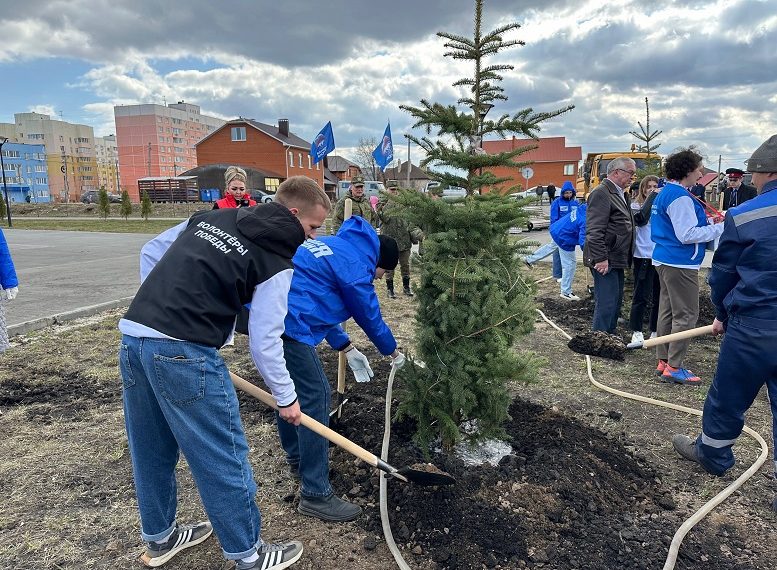 В Ульяновске высадили «Сад Памяти» в честь героев военных действий
