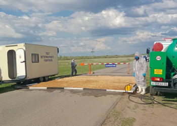 Ульяновские ветеринары искали в Саратовской области африканскую чуму свиней