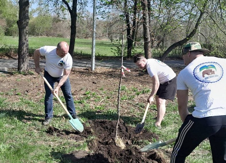 В сквере Антонова появился сад из краснокнижных яблонь