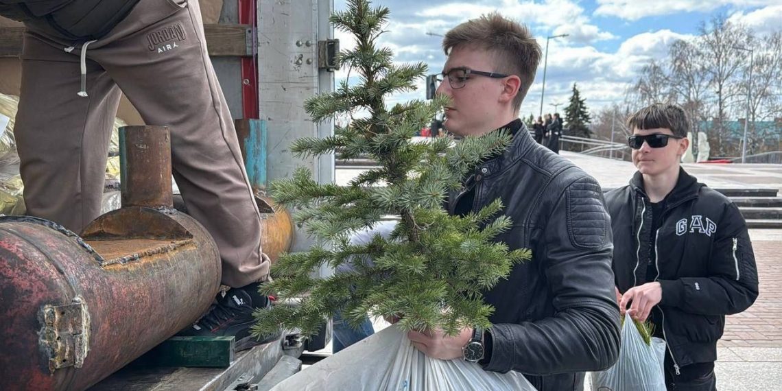Ульяновские деревья помогут восстановить природу Херсонской области