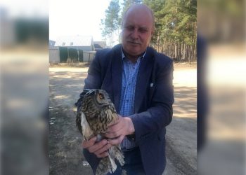 В Ульяновске медики спасли филина во время субботника