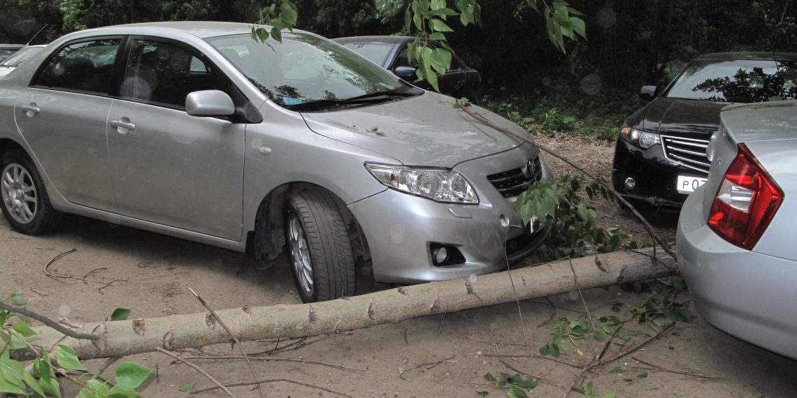В МЧС предупреждают о шквалистом ветре в Ульяновской области