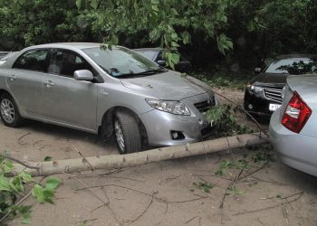 В МЧС предупреждают о шквалистом ветре в Ульяновской области