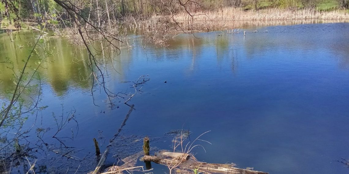 Часть гидротехнических сооружений в Ульяновской области требует срочного ремонта