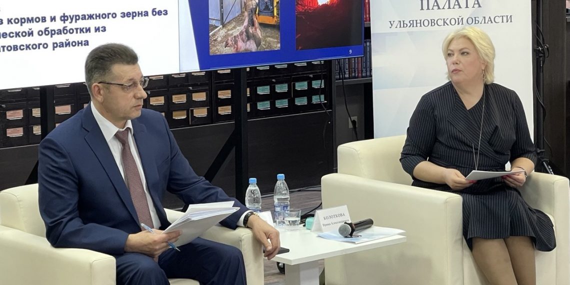 Спирчагов и Колоткова обсудили повышение ответственности ульяновских чиновников