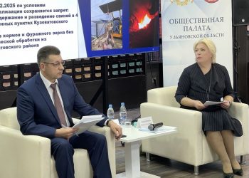 Спирчагов и Колоткова обсудили повышение ответственности ульяновских чиновников