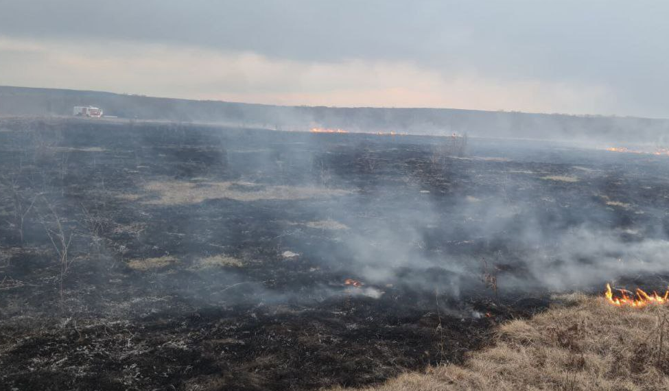 Сводка МЧС: пожары, ДТП и профилактика в Заволжском районе