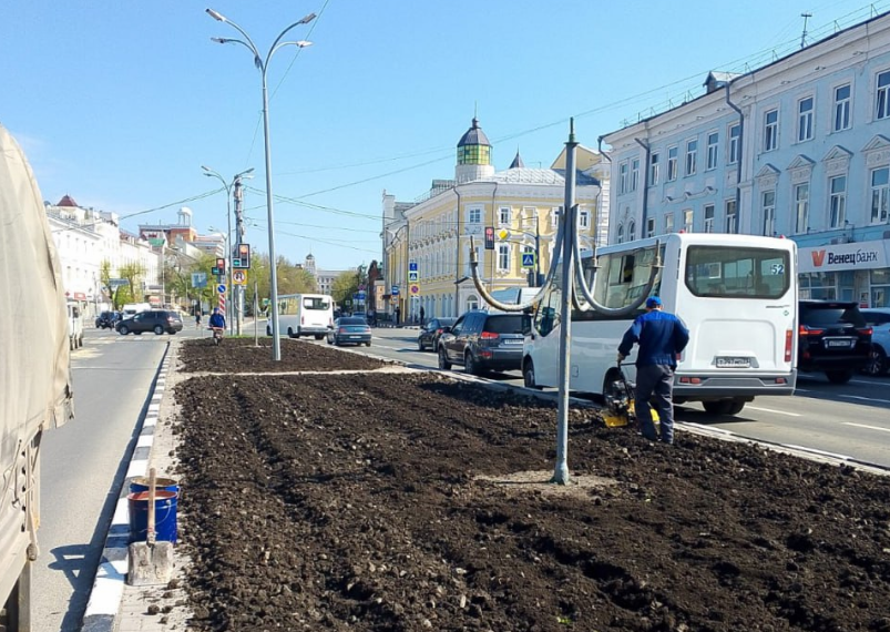 В Ульяновске тестируют цеолит на городских клумбах