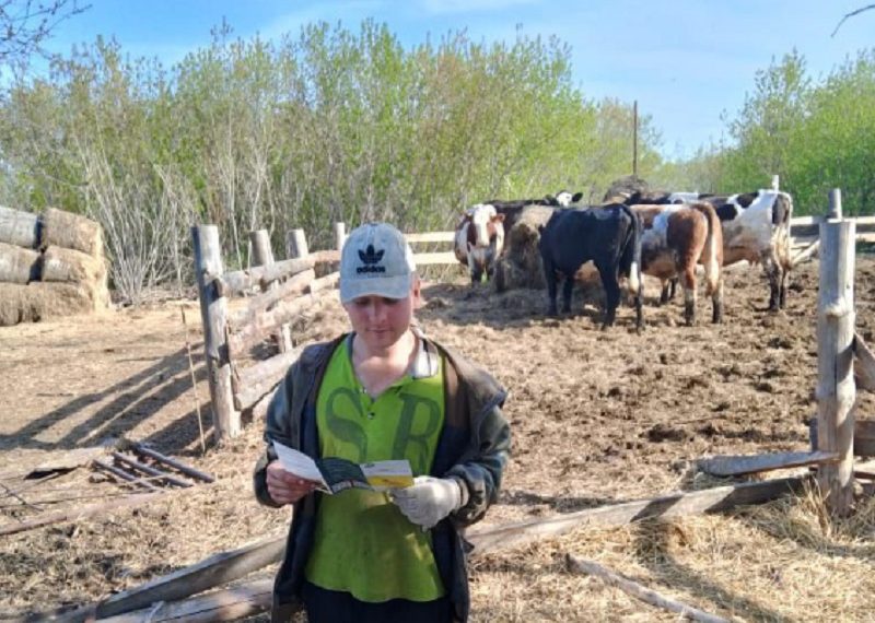Борьба с гнусом в Сурском районе: ветеринары проводят профилактику
