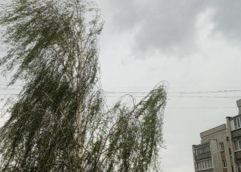 Шквал до 21 м/с: объявлен «жёлтый» уровень опасности в Ульяновской области