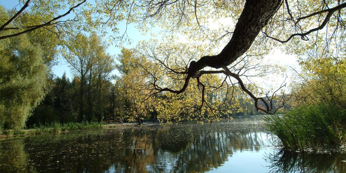 В Ульяновске стартовал финал Всероссийской олимпиады по экологии