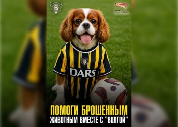 Ульяновская «Волга» совмещает спорт и добро: помощь бездомным животным на матче с «Велесом»