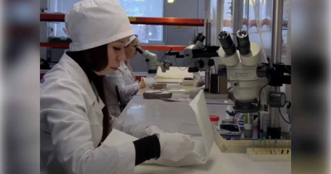 От родителей в декрете до ветеранов: кто сможет бесплатно получить профессию в Ульяновской области