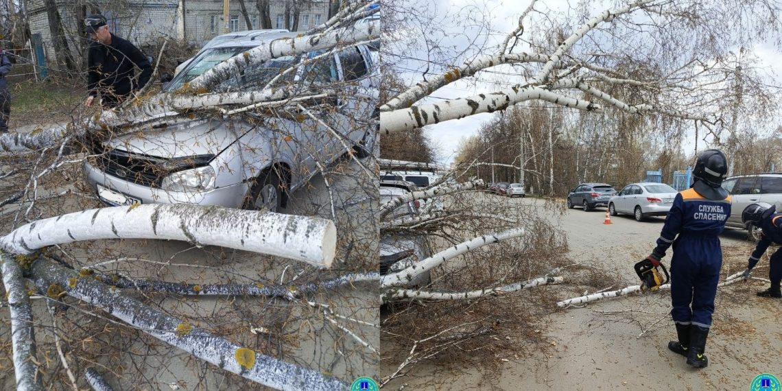 Упавшее дерево помяло авто на улице Трудовой в Ульяновске