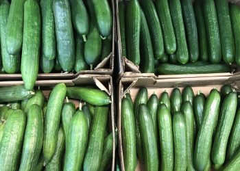 В Ульяновской области нашли самые дешёвые в России курятину и огурцы