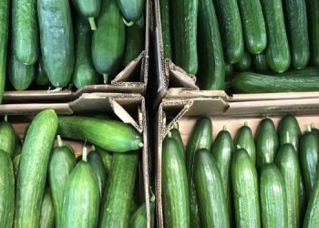Ульяновские огурцы — самые дешёвые в России седьмую неделю кряду